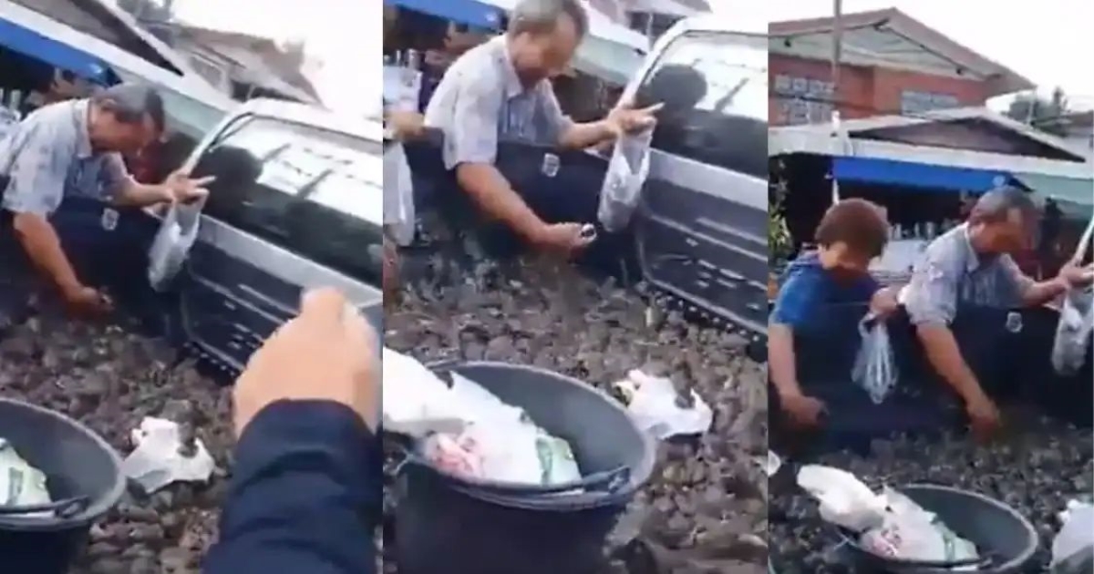 china-live-rats-market-viral-video