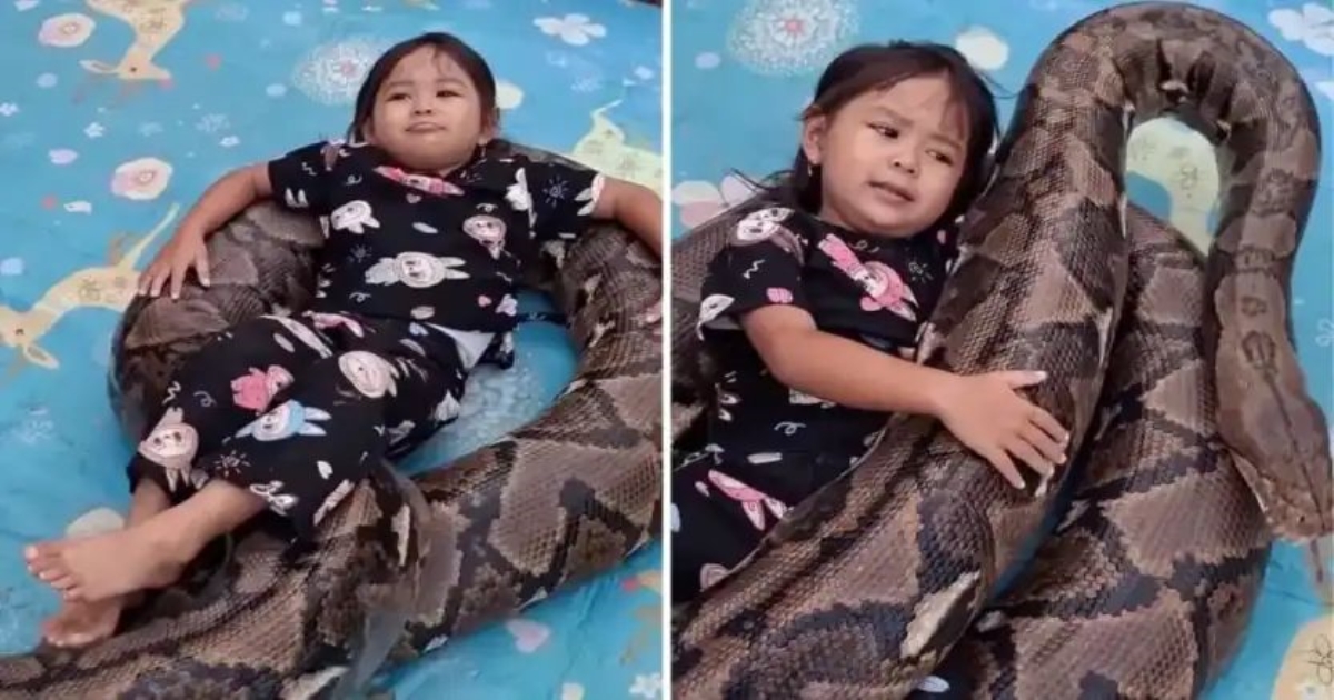 baby-placed-on-python-snake-viral-video-backlash
