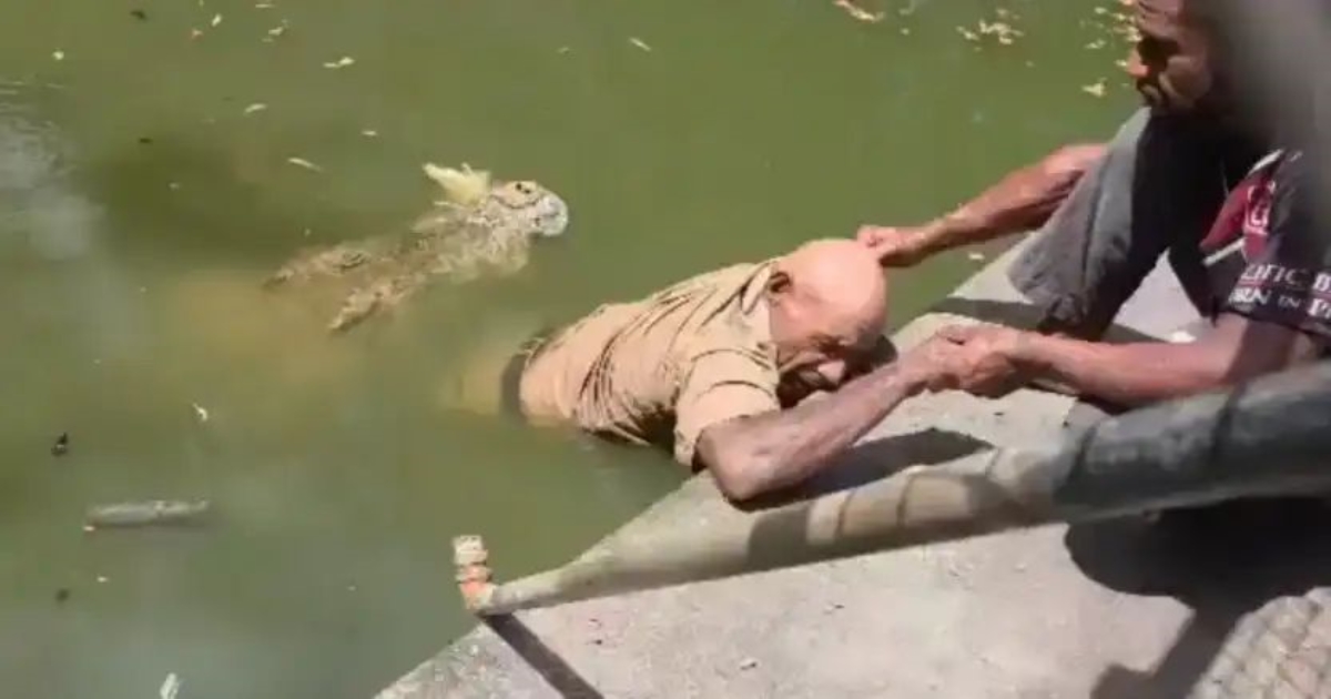 papua-new-guinea-crocodile-attack-worker-dies