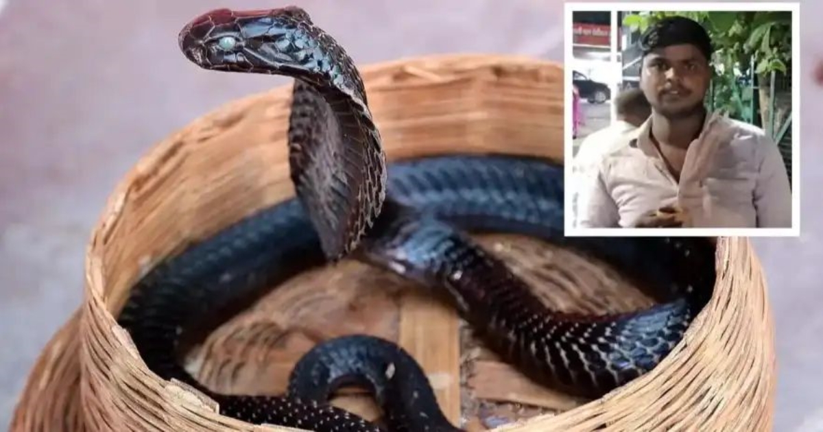 etawah-youth-snake-bite-six-times-20-days