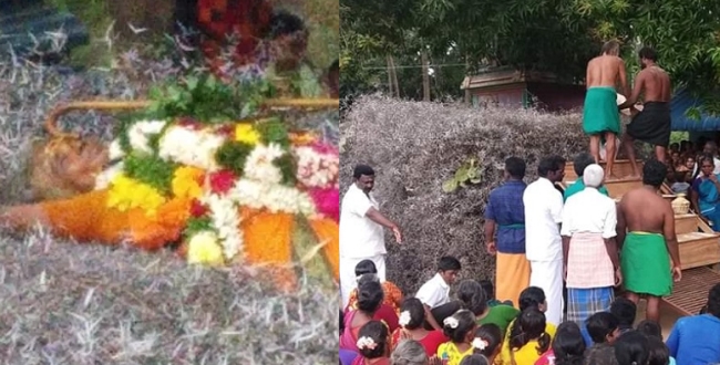 Women lying down top of thorns at sivakangai