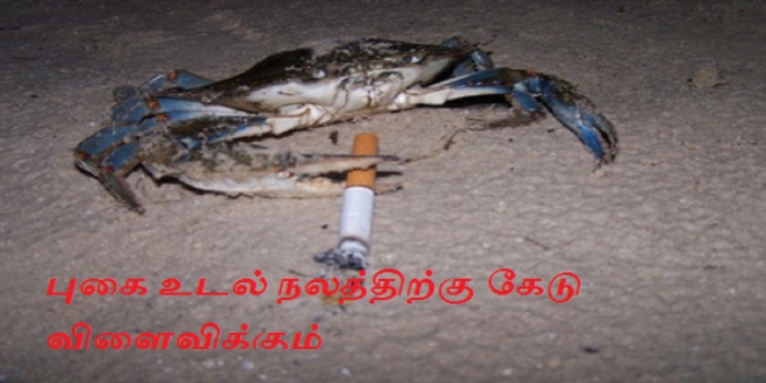 crab-smoking-video