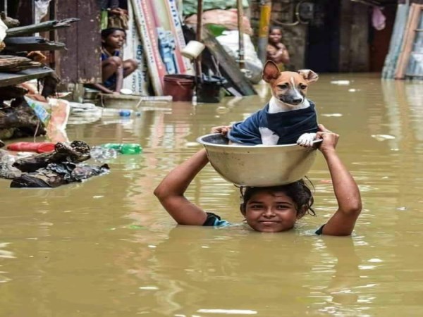 rescue-team-saved-people-from-flood