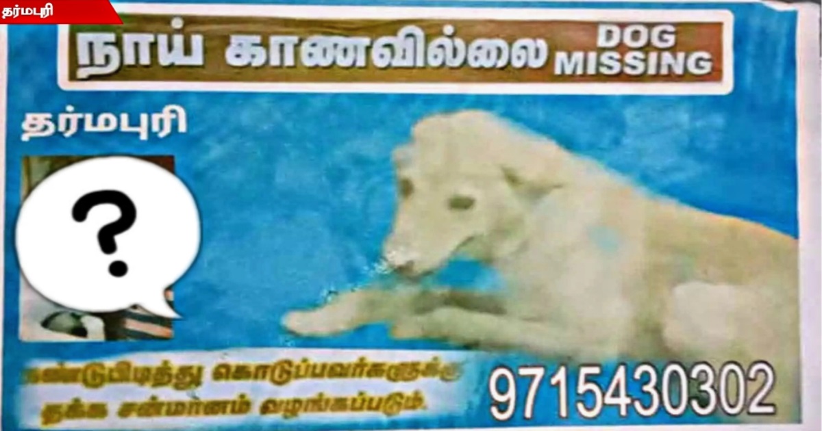 dog-missing-poster