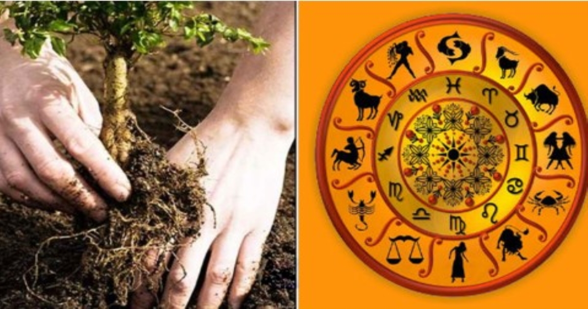 12 Trees for 12 Rasi