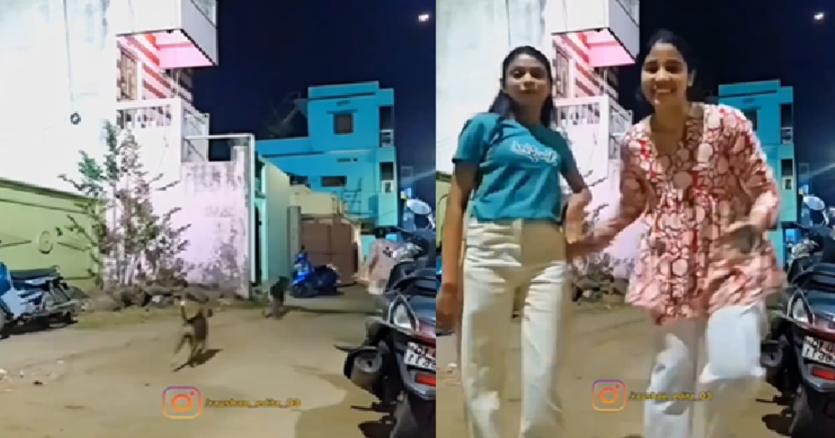 a Trending Video about dogs Chased Reels Making Girls in Midnight 