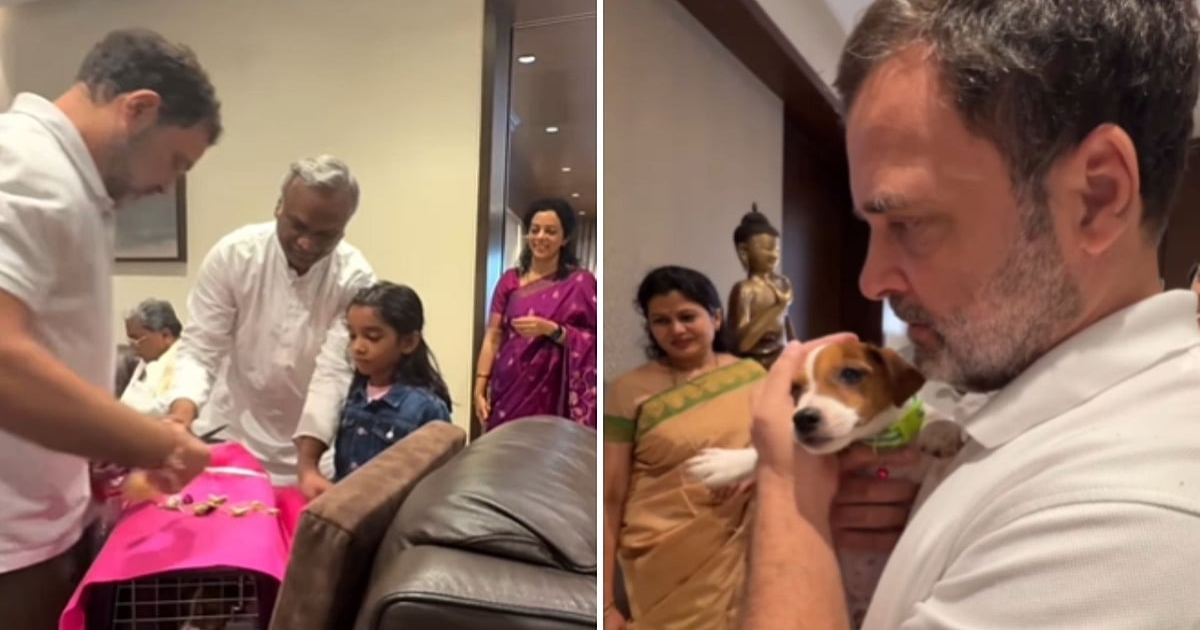 rahul-gandhi-gift-street-puppy
