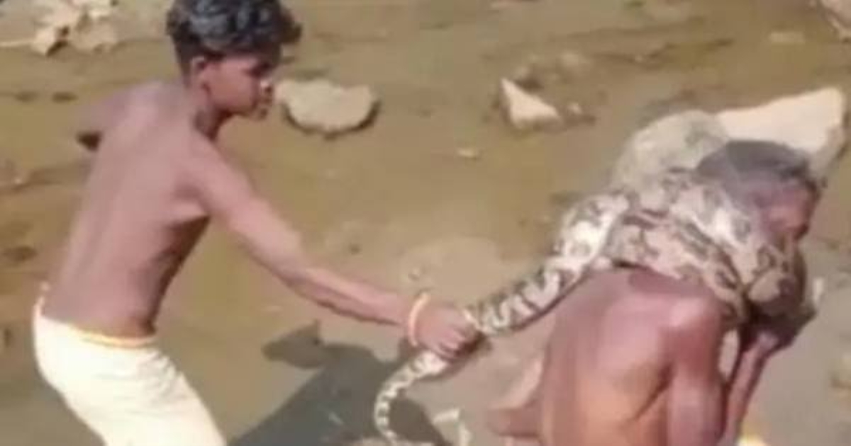 Man struggle with snake in his neck