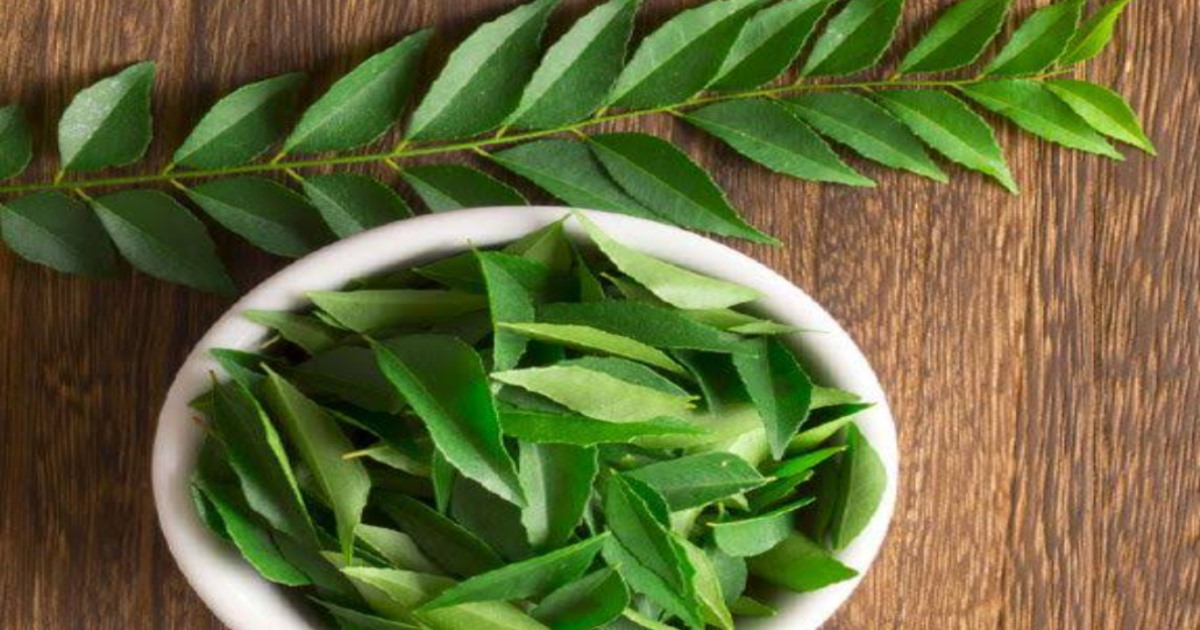health-benefits-of-curry-leafs