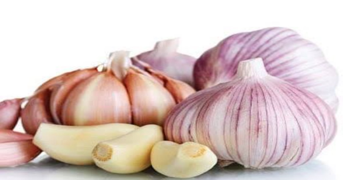 Health benefits of garlic 