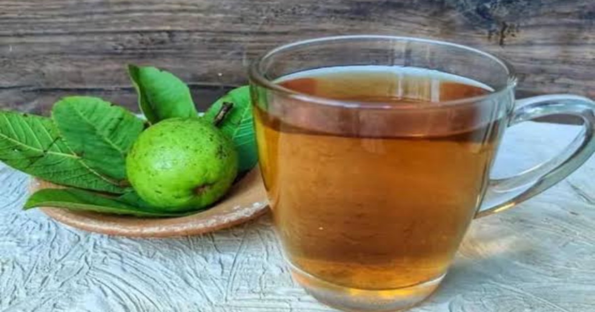 Health benefits of koyya leaf tea