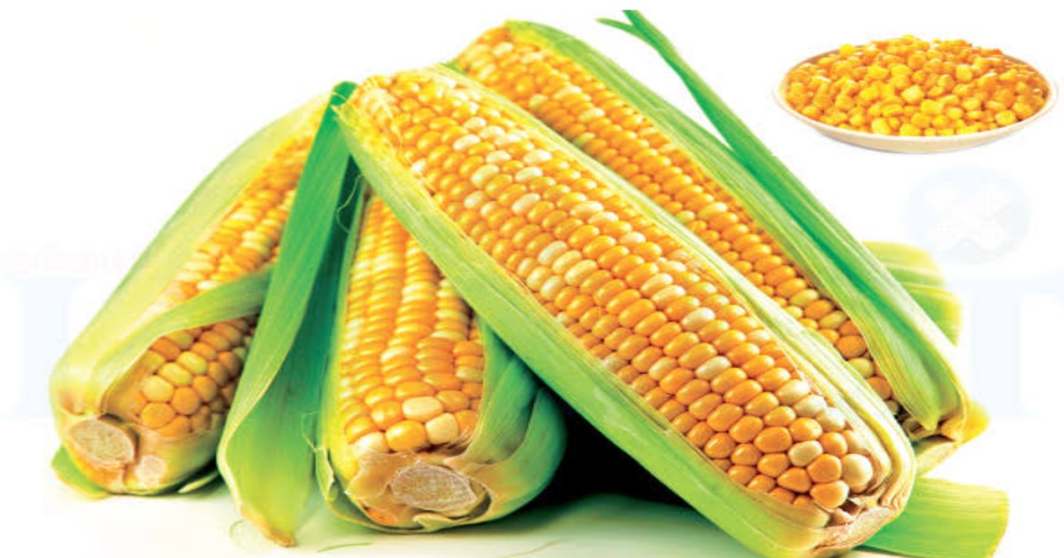 Health benefits of corn