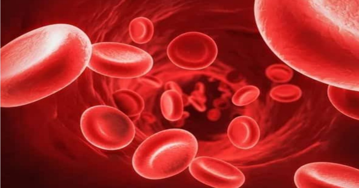 How to increase hemoglobin 