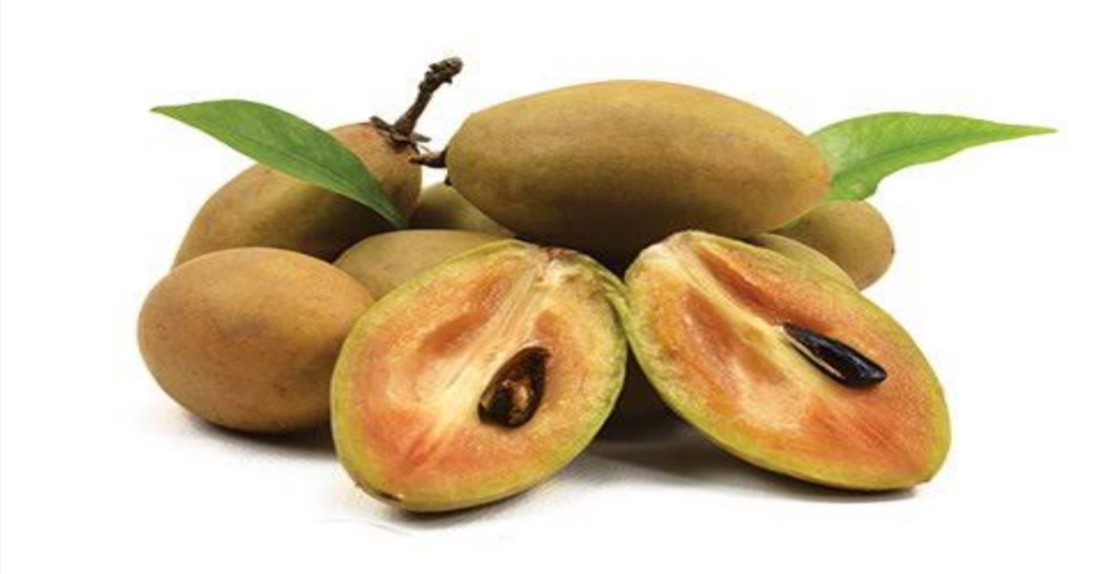 Health benefits sappota ate winter season 