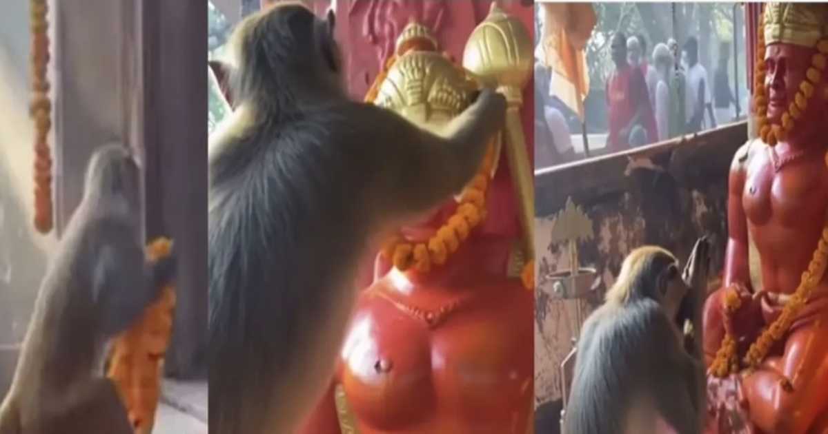 ai-created-hanuman-monkey-video-truth