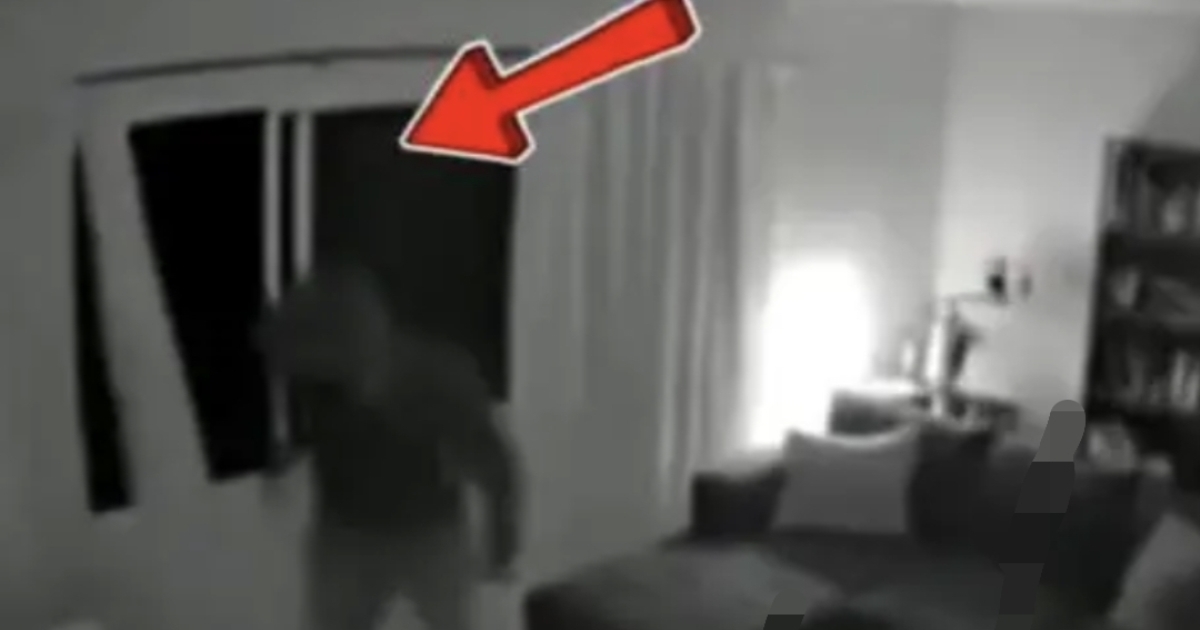 parrot-stops-thief-viral-video-m6xfzx