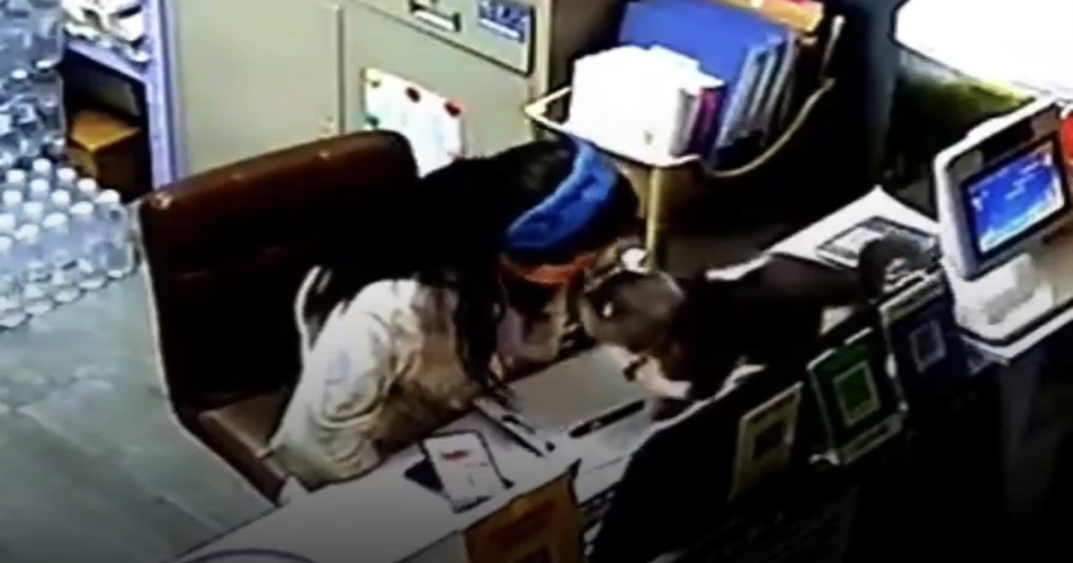 cat-final-goodbye-owner-emotional-video