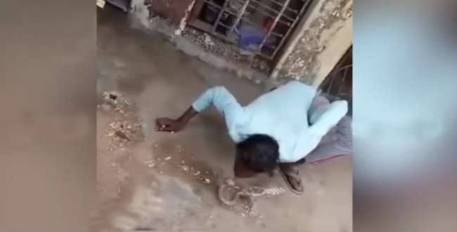 Man tried to kiss snake viral video