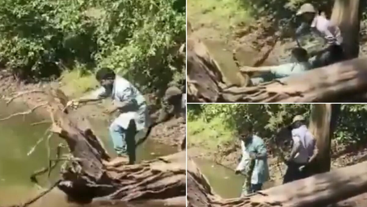 Snake catcher escaped from king copra viral video