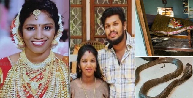 kerala-woman-death-after-second-snake-bite-turns-out-to