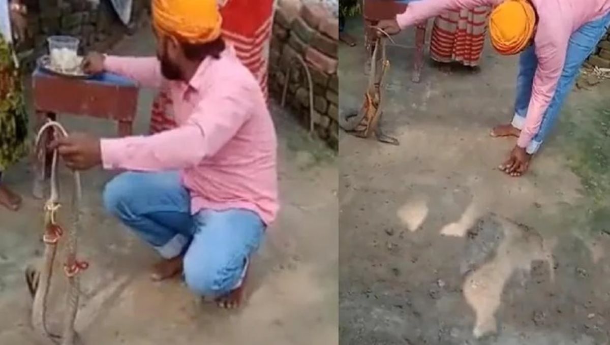 man-died-while-knot-rocky-to-snake-viral-video