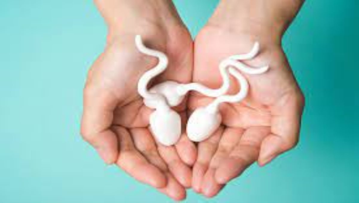how-to-improve-sperm-quantity-and-quality