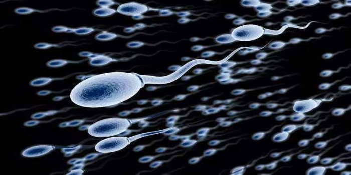 Delhi Hospital Sperm Change for Artificial Baby 