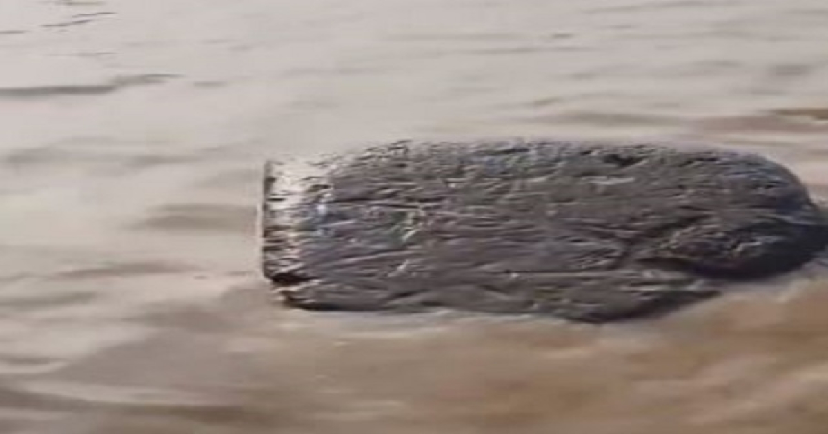 floating-rock-ganges-kaushambi-up