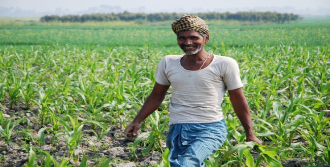 good-news-for-telungana-farmers
