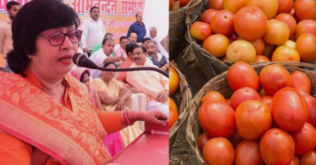 Minister's idea to reduce tomato price