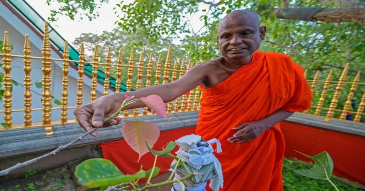 Sri Lanka Shock: Buddhist Monk Arrested for Alleged Abuse of 11-Year-Old Girl, Mother Also Held