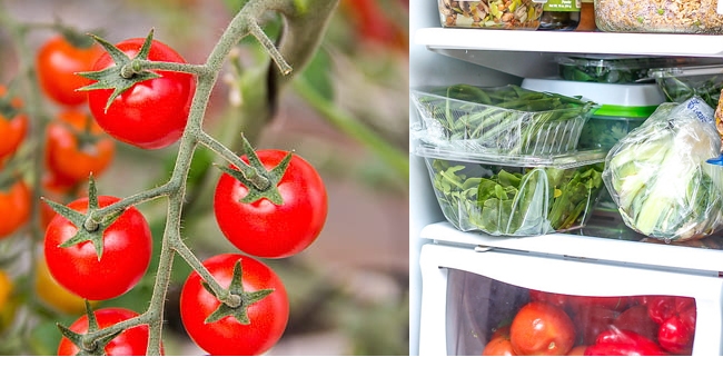 store-tomato-in-fridge