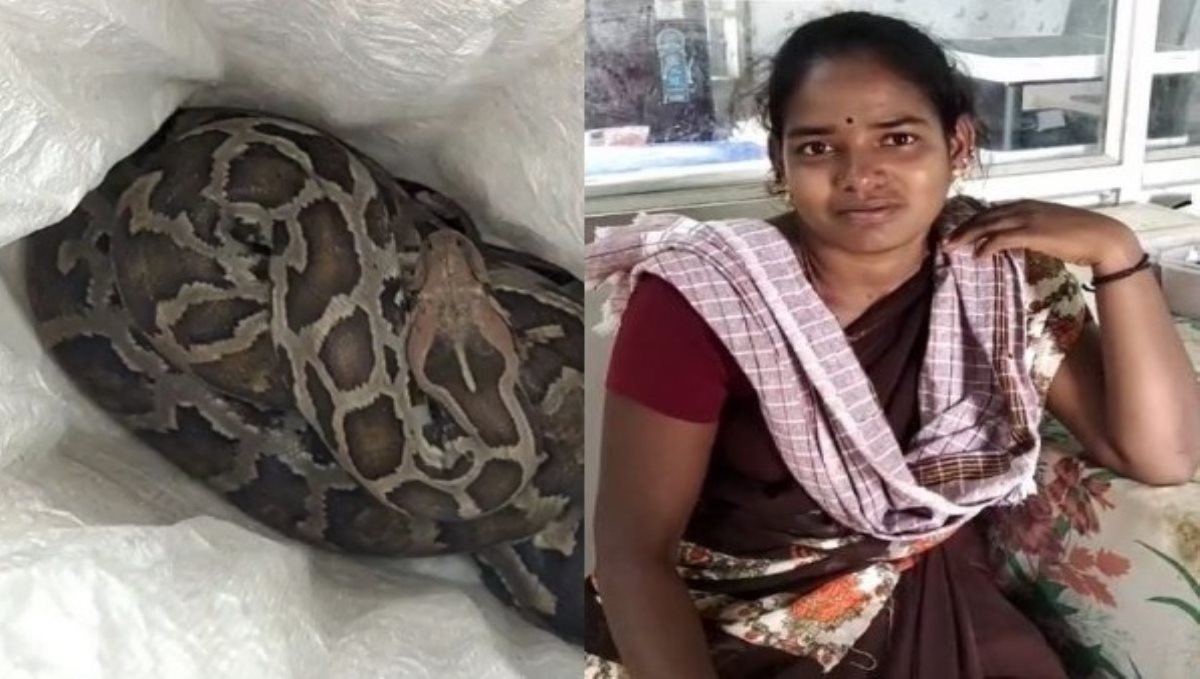 a-man-saved-snake-and-his-wife-in-pudukottai