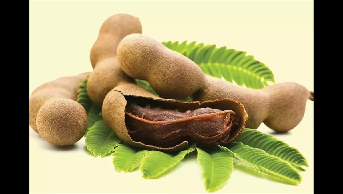 Does tamarind help in weight loss? Wow this is new information..!!