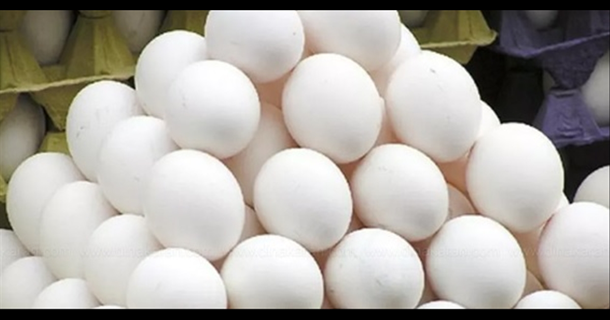 The price of eggs is increasing day by day to the extent that common people think of buying them.