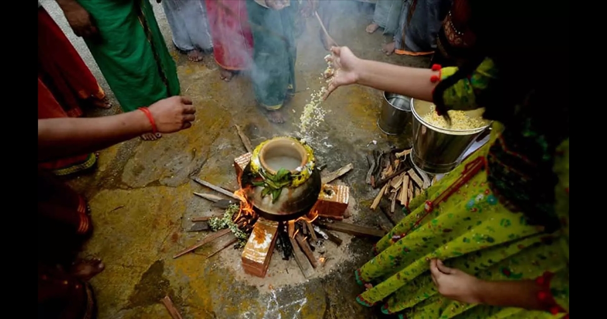 Tomorrow is the best time to do Pongal on Tai Thirunal... Let's find out..