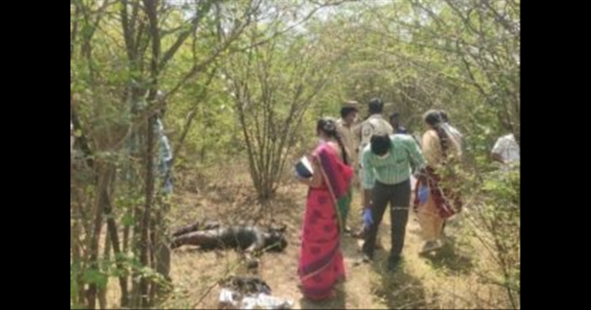 A teenager was burnt to death near a bypass road; Shocking incident in Villupuram...
