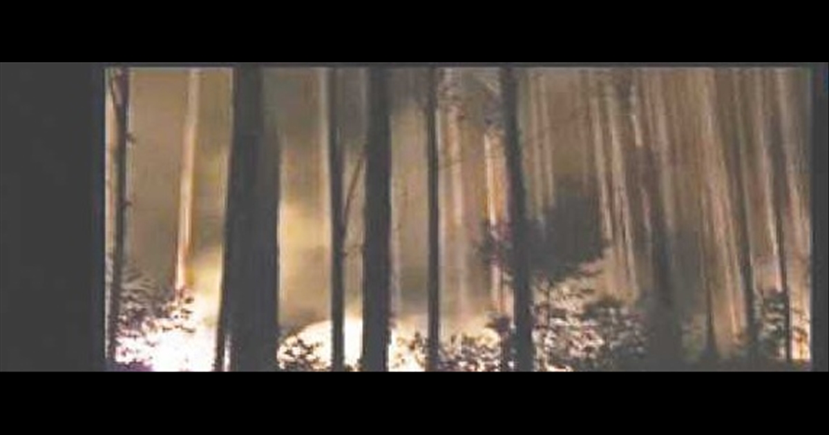 terrible-forest-fire-in-kodaikanal-expensive-trees-burn