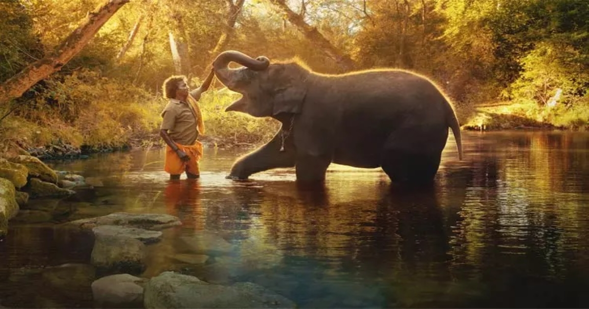 The Elephant Whispers' short film has won 2 Oscars