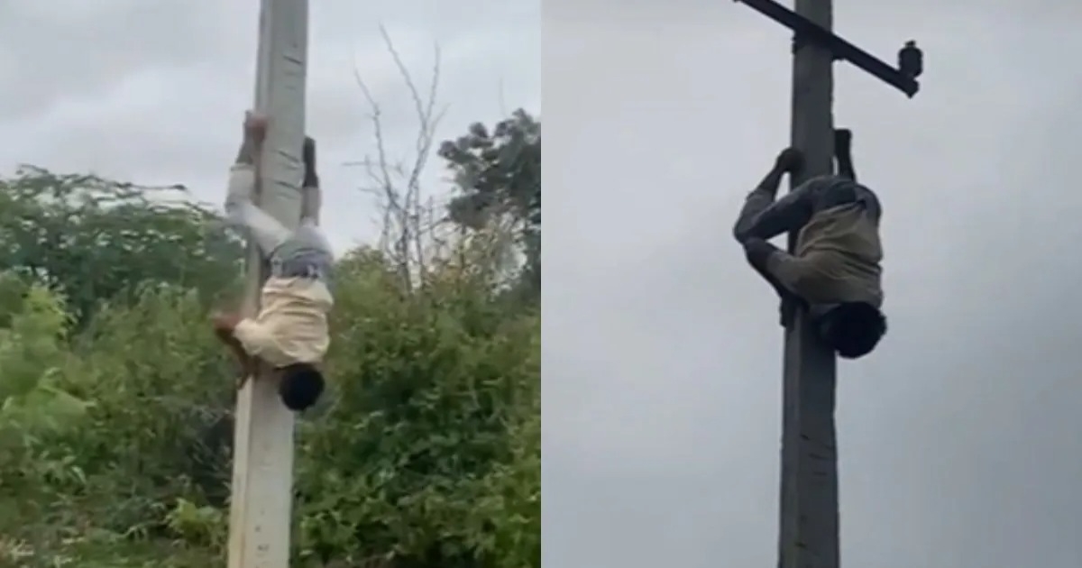 youth-climbing-electric-pole-viral-video