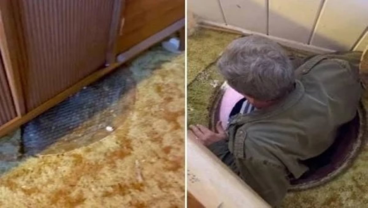 Women found mysterious hole in her house