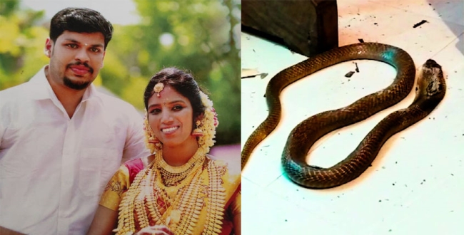 kerala-snake-bite-uthra-murder-case-update