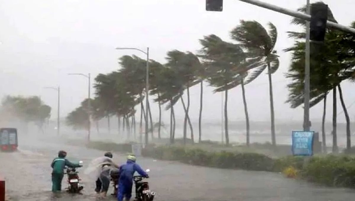 government-hokiday-announced-tomorrow-for-nivar-cyclone