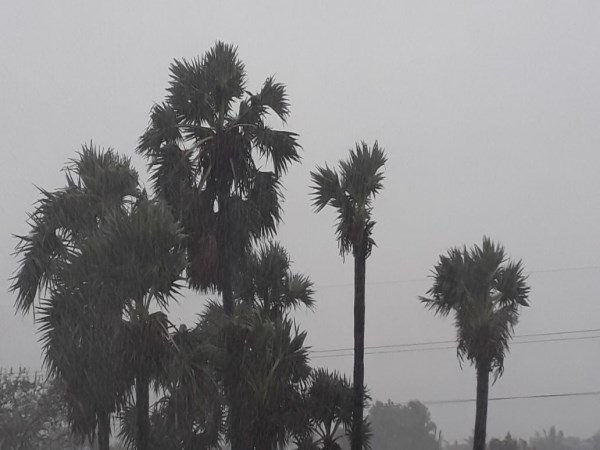 heavy rain in chennai