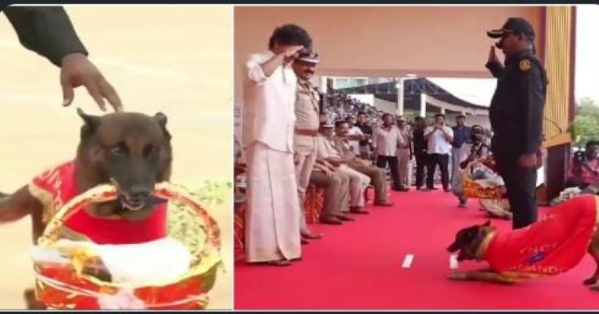 cm-vijay-salutes-sniffer-dog-rocky-police-medal-ceremon