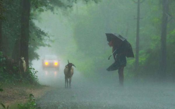 Rain in chennai