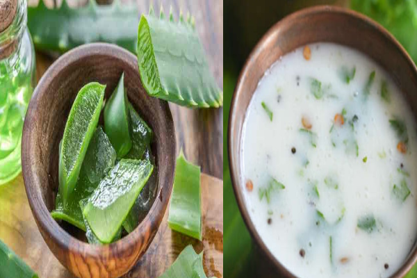 துளசி செடி வளர்ப்பு