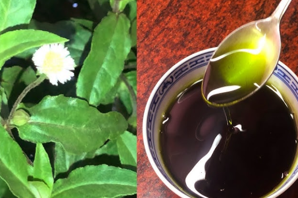 karisalankanni oil