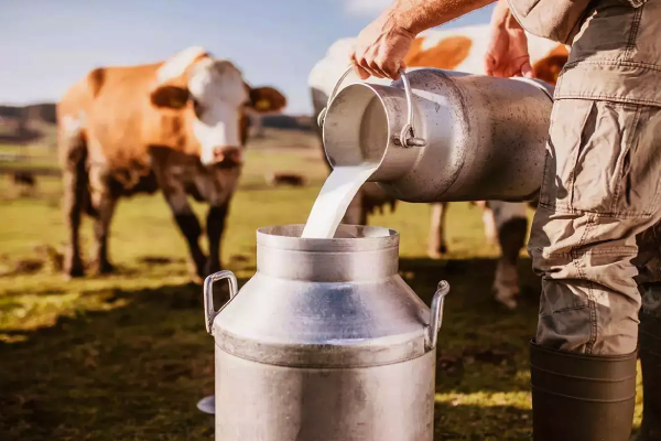 Milk safty tips