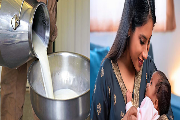 Milk safty tips